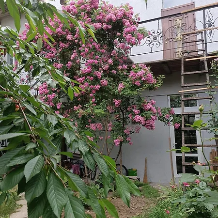 Guest house студия у моря, терасса, отдельный вход 3*