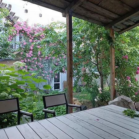 Guest house студия у моря, терасса, отдельный вход Odesa