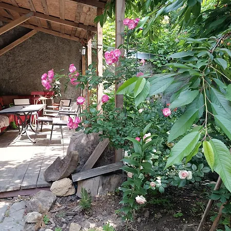 Guest house студия у моря, терасса, отдельный вход 3*